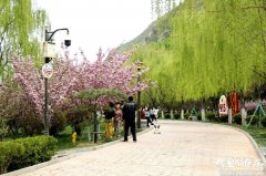 园焦点区域、步道